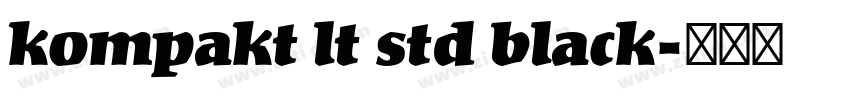 kompakt lt std black字体转换